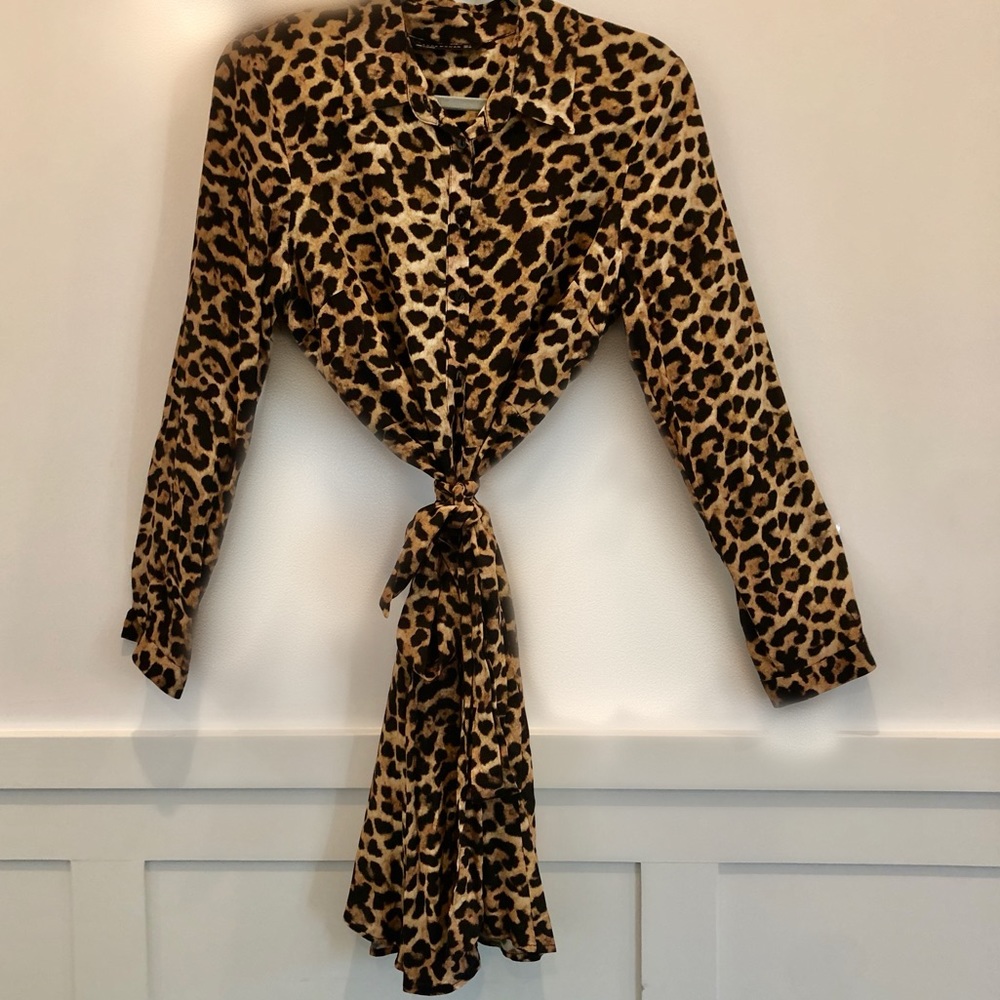 Zara Leopard Print Button Front Shirt Dress
